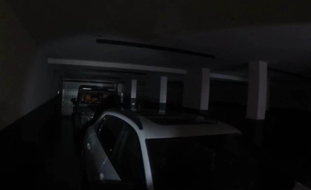 Zvicerova imovina vredna milione (7).jpg