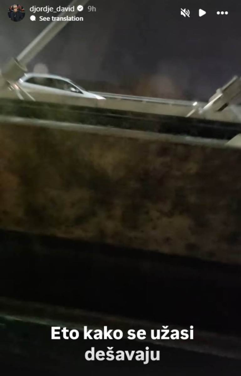 Đorđe David most na Adi (2).jpg