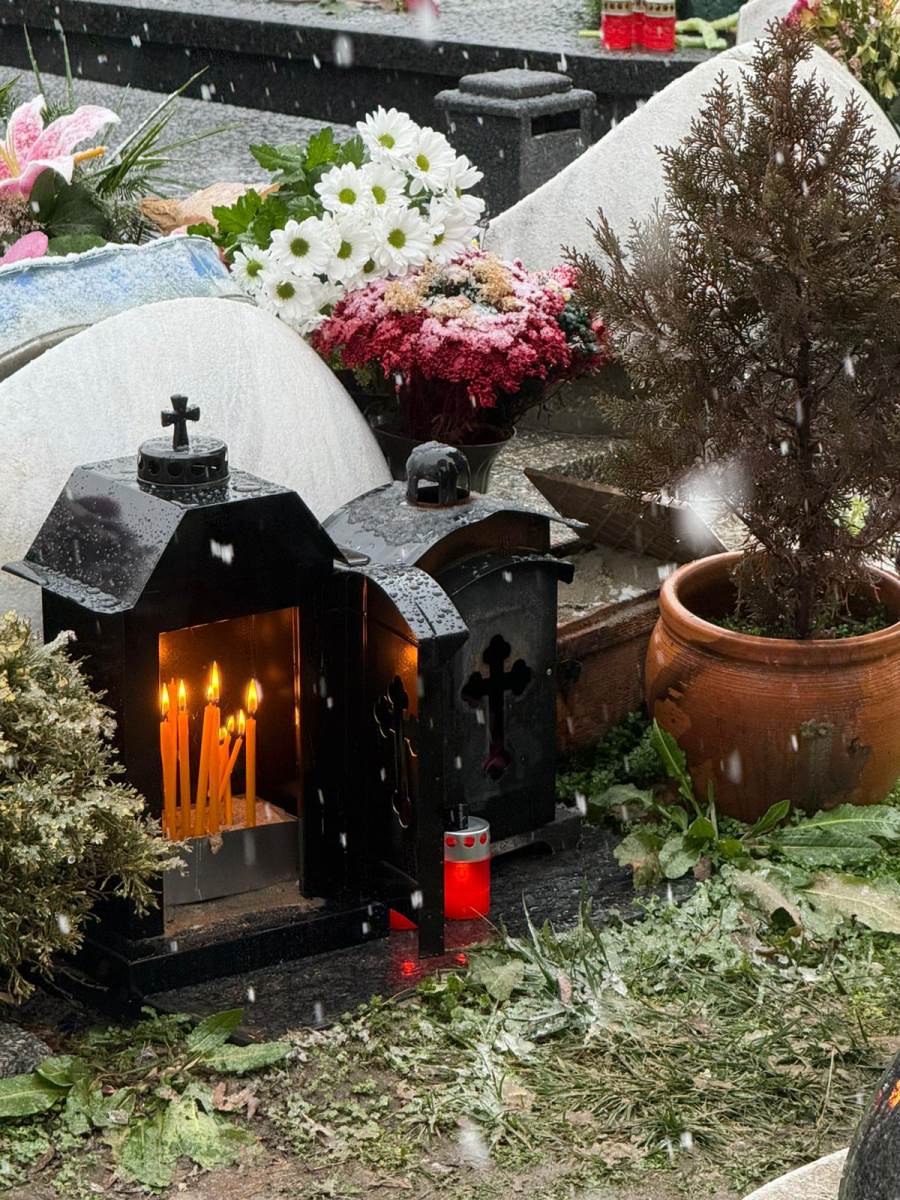 Šaban Šaulić pomen 9.jpg