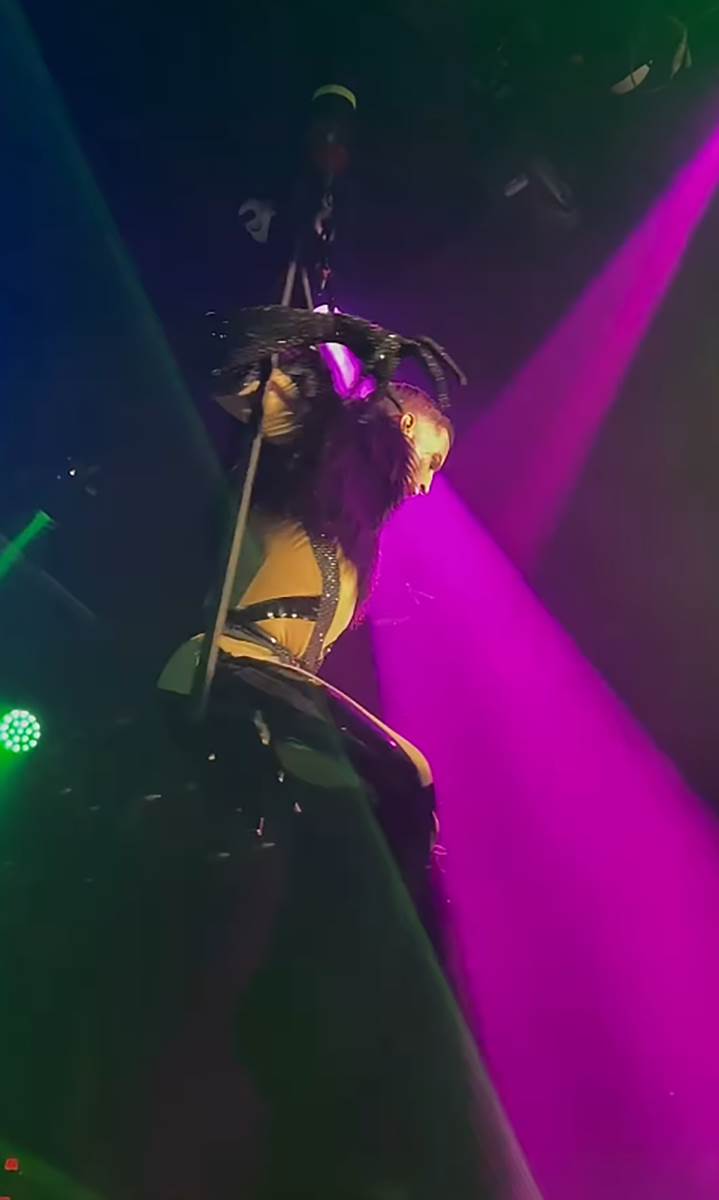 Luka Živković PZE (2).png