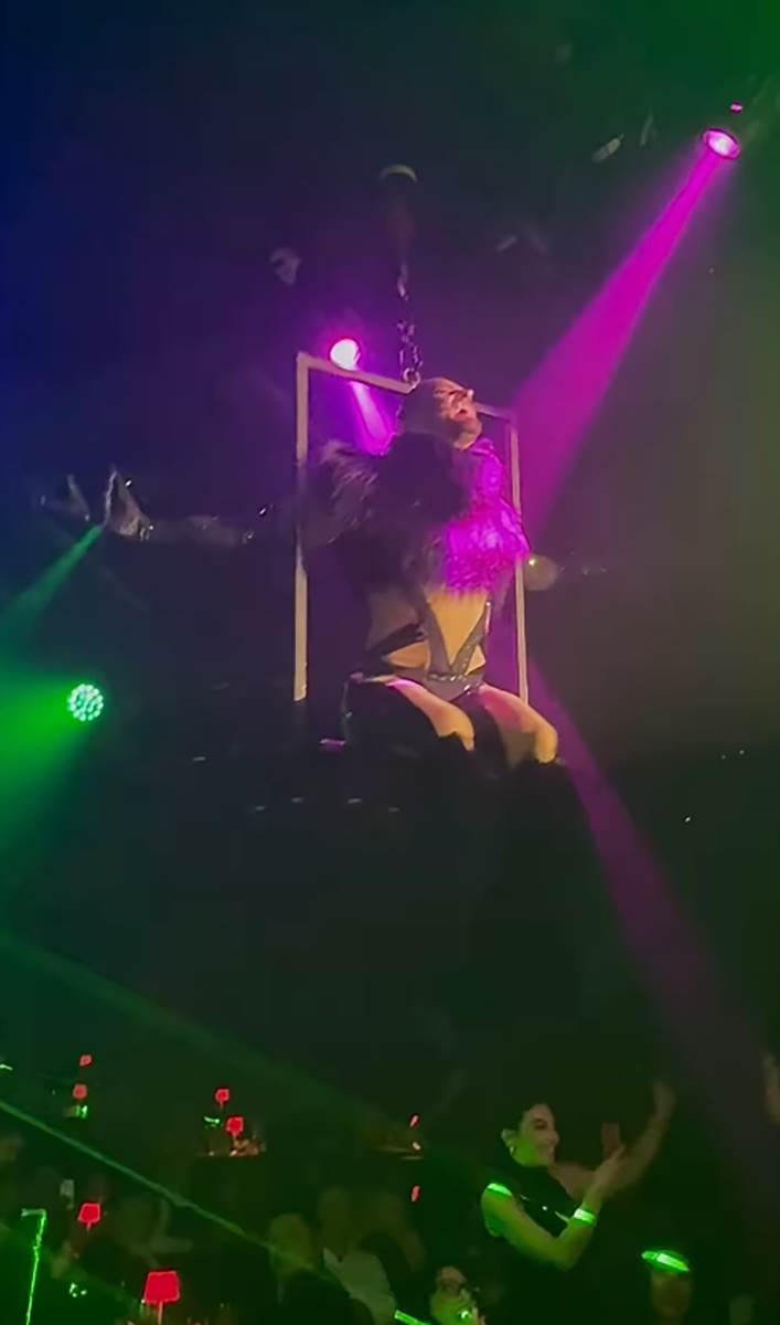 Luka Živković PZE (3).png