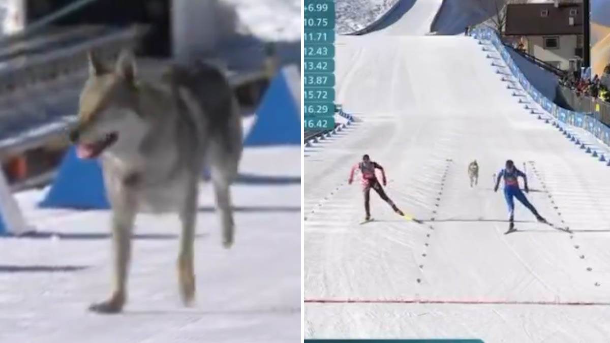 KomboBox2slike1200x675 copy.jpg