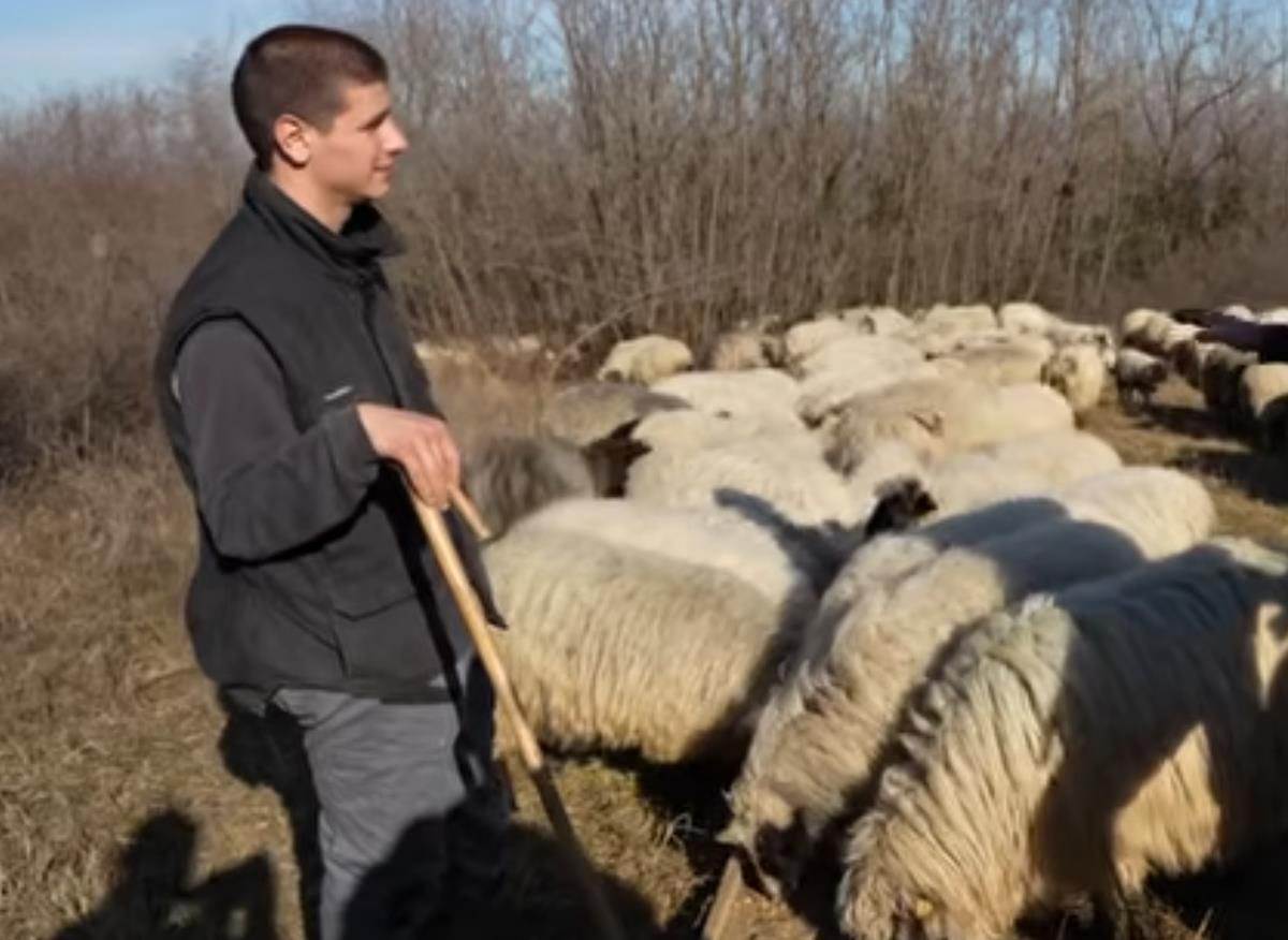 Miloš Škorić nomadski pastir (3).jpg