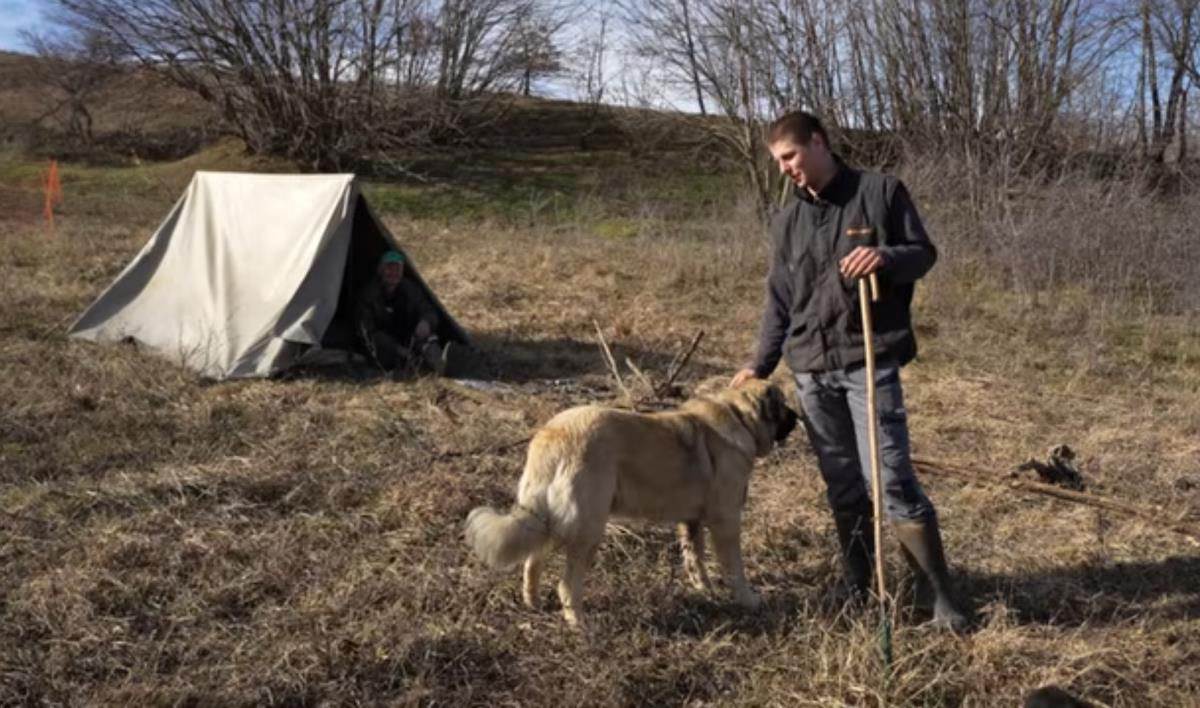 Miloš Škorić nomadski pastir (4).jpg