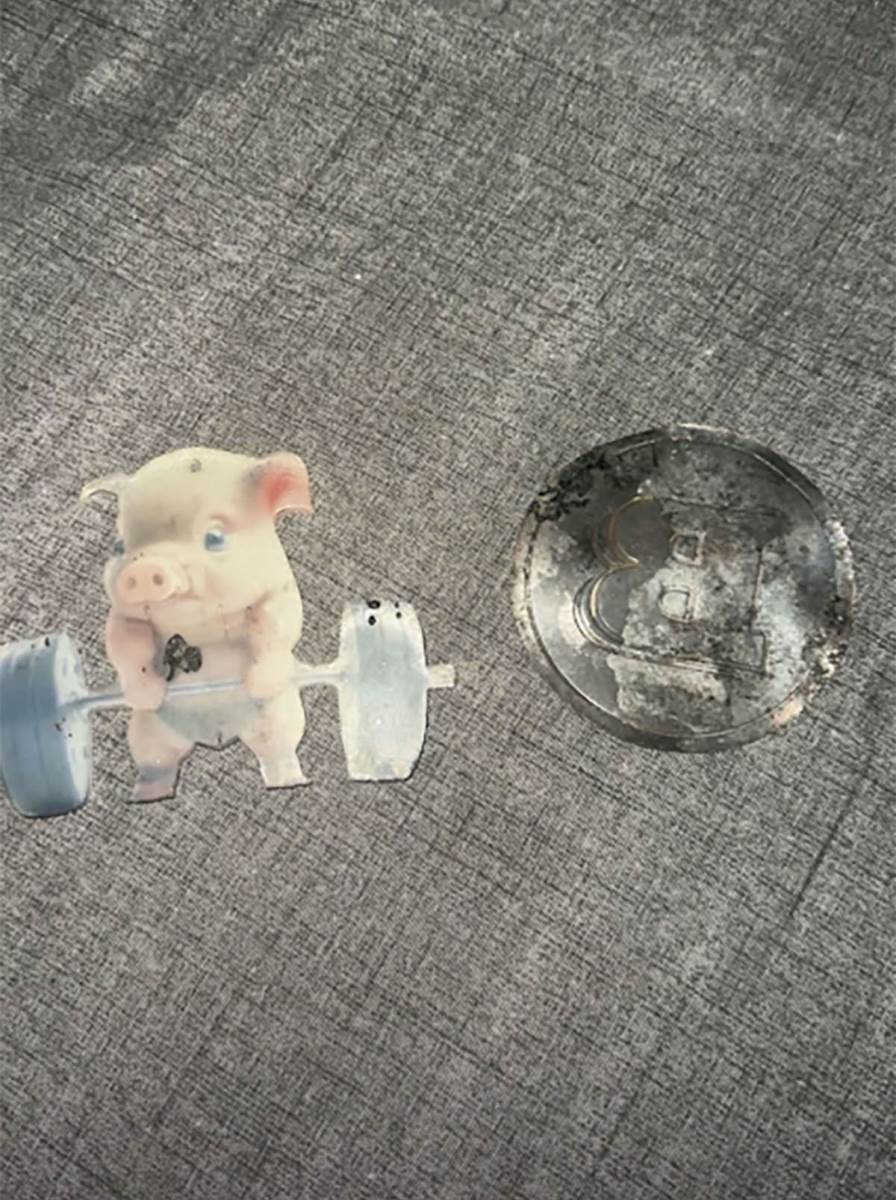 Baka Prase ukradene stvari iz zapaljenog auta (8).jpg