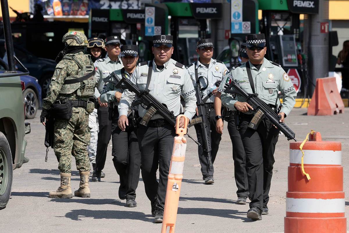 meksički kartel (2).jpg