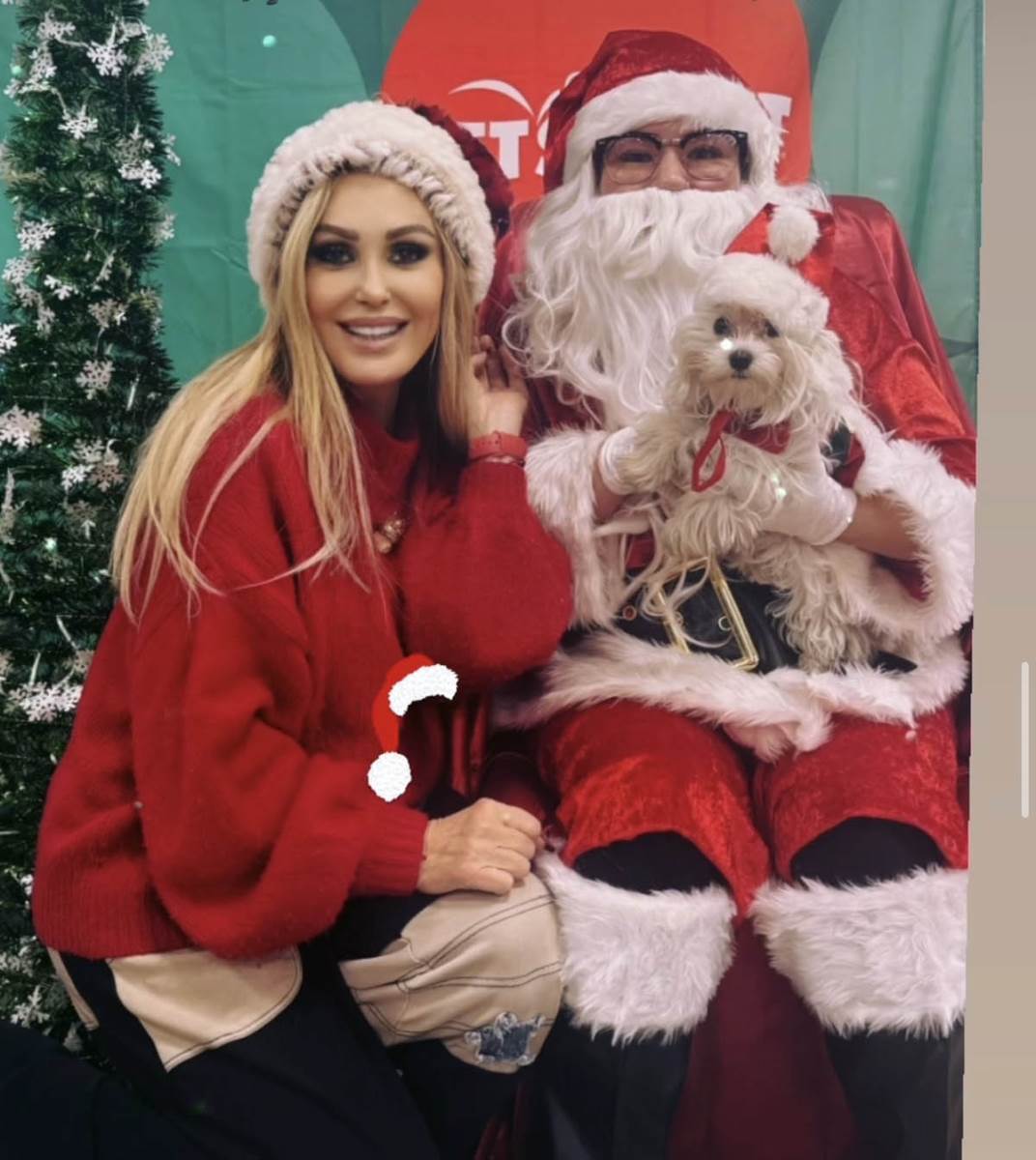 Dijana Niven Bećirović (6).jpg