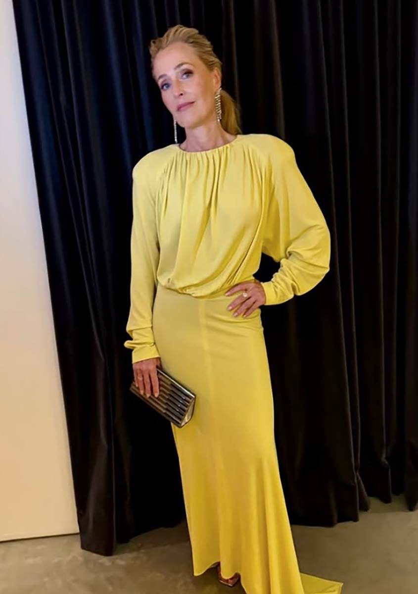 Džilijen Anderson (4).png