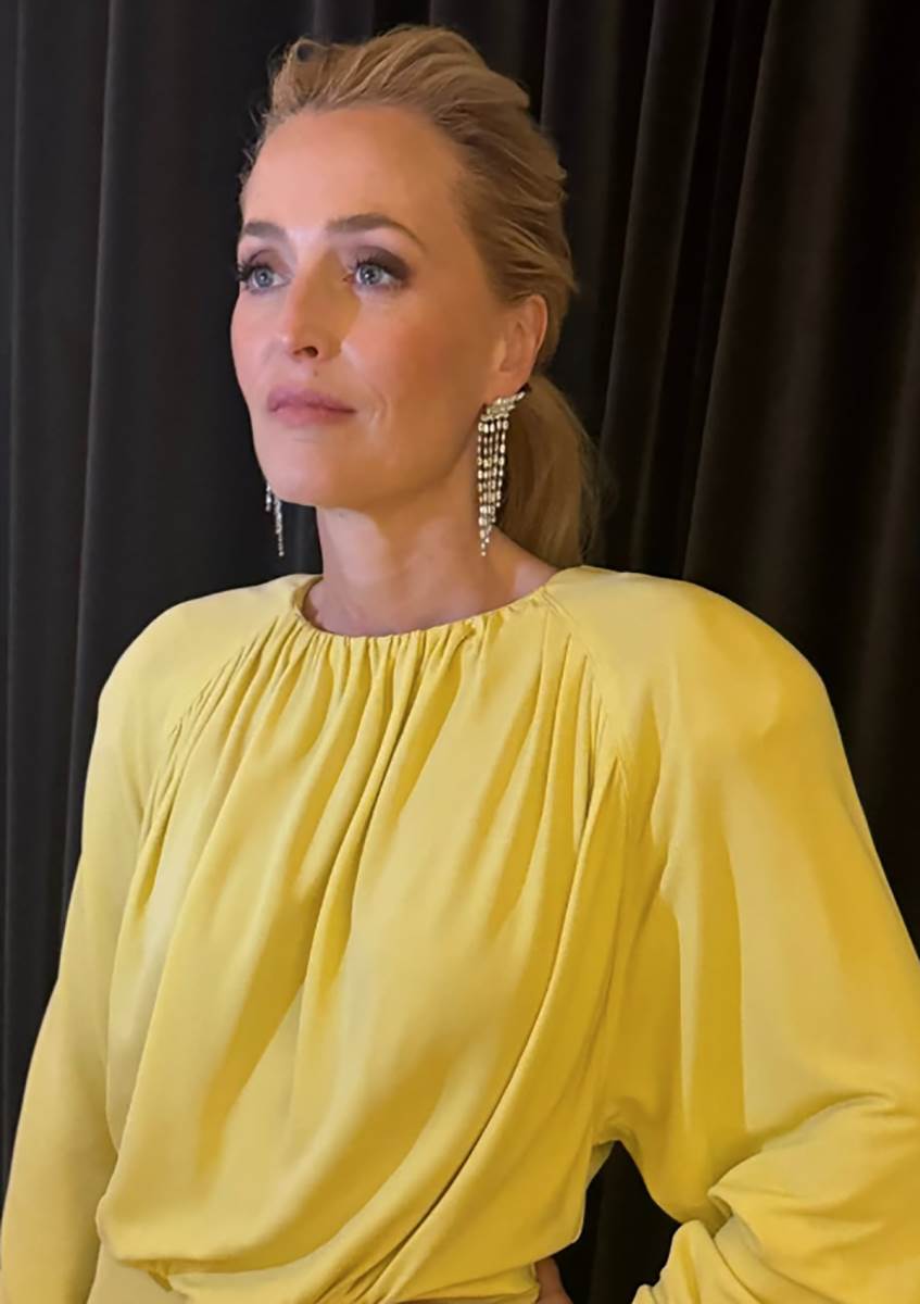 Džilijen Anderson (1).png