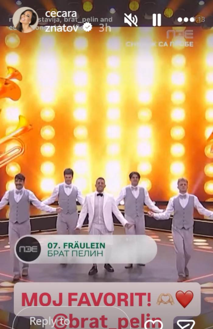 Ceca Ražnatović PZE Brat Pelin2.jpg