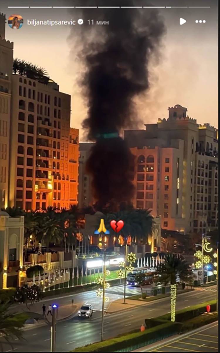 Biljana Tipsarević Dubaji  1.jpg