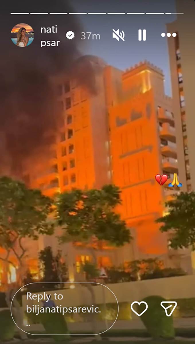 Biljana Tipsarević Dubaji  4.jpg