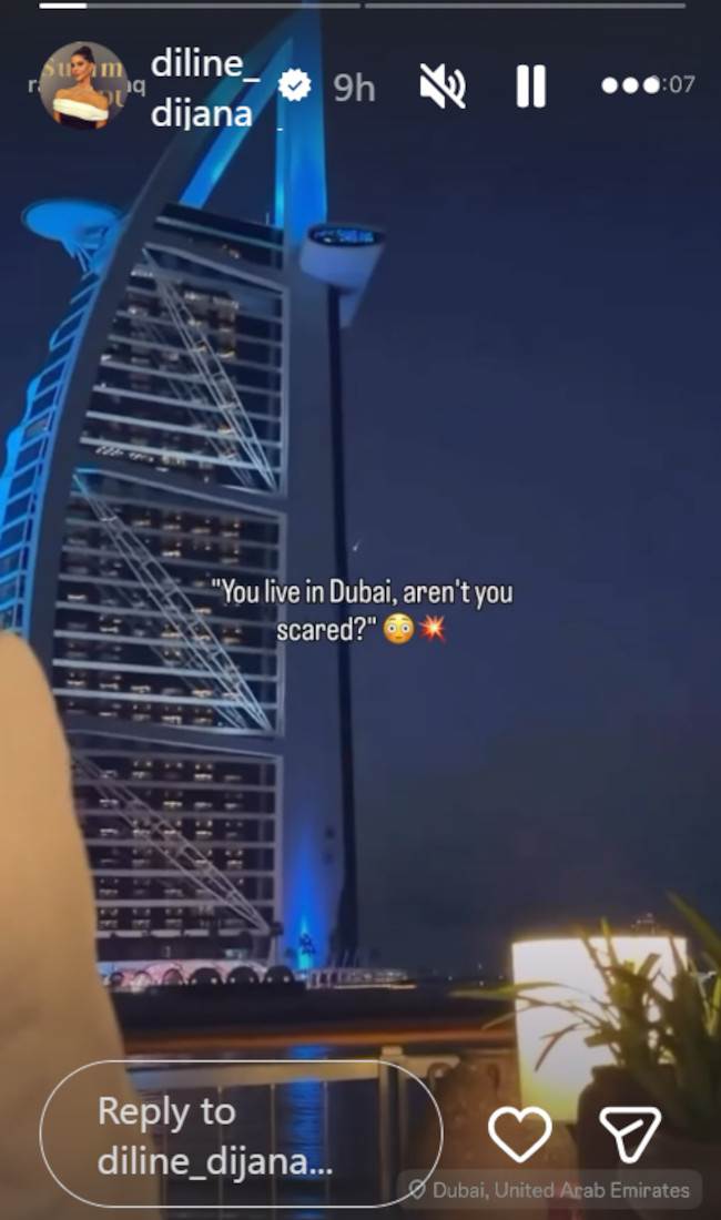 Dijana Dilajn Dubai.jpg