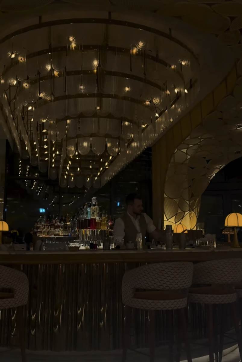 Đina Džinović (2).png