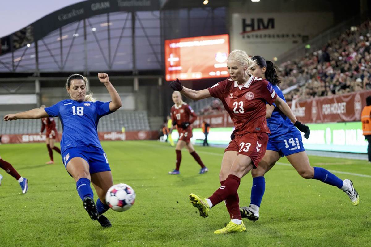 Srbija -Danska (5).jpg