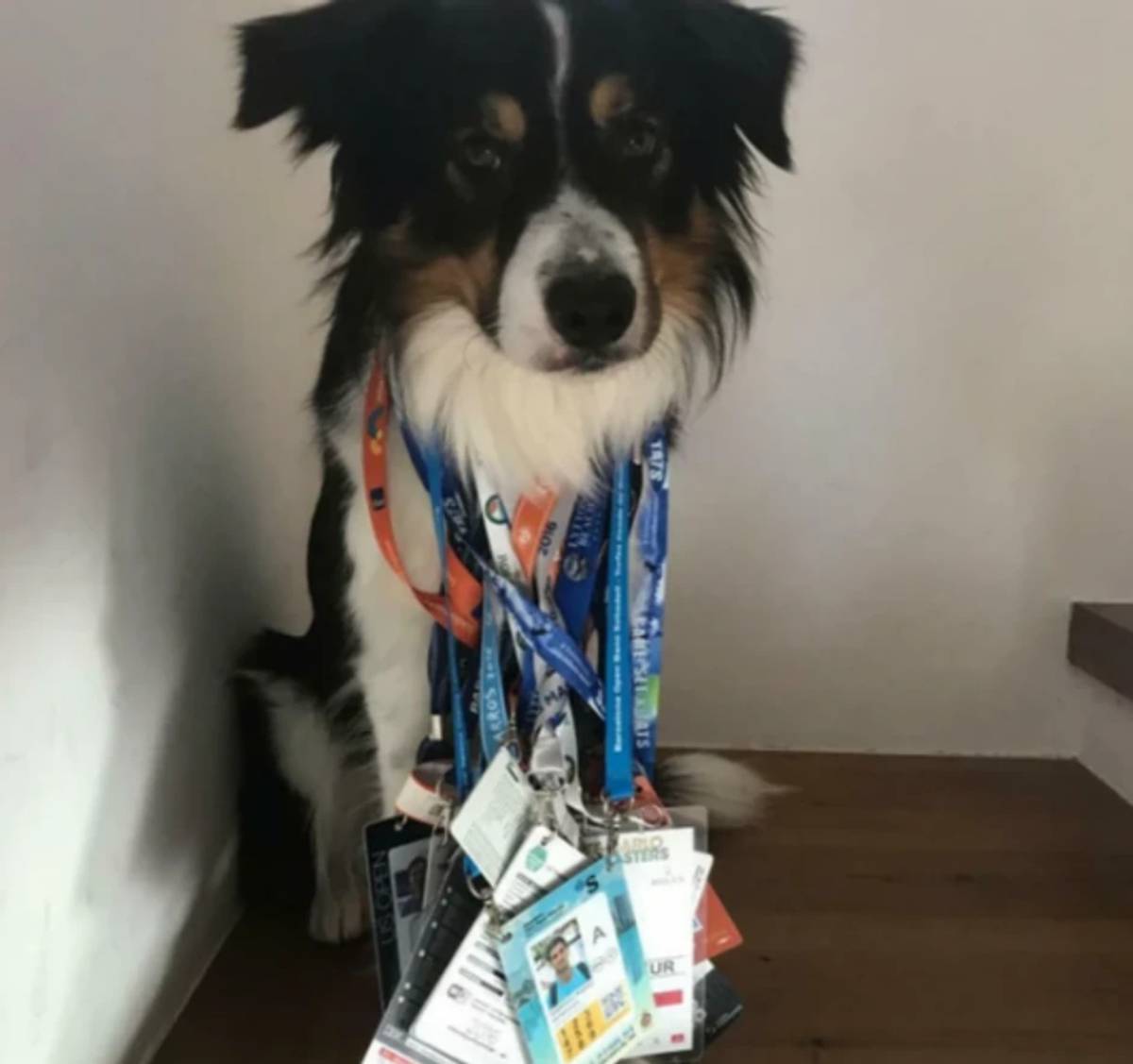 Kuća Marko Đoković