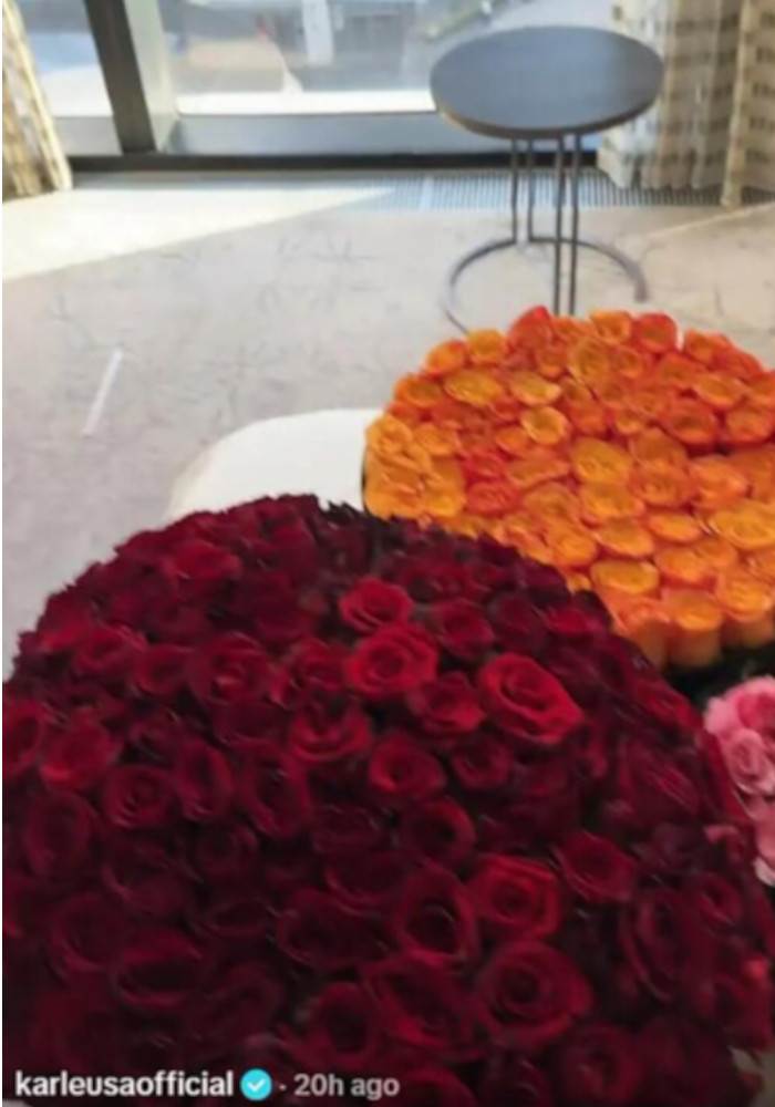 Jelena Karleuša ruže hotelska soba.jpg