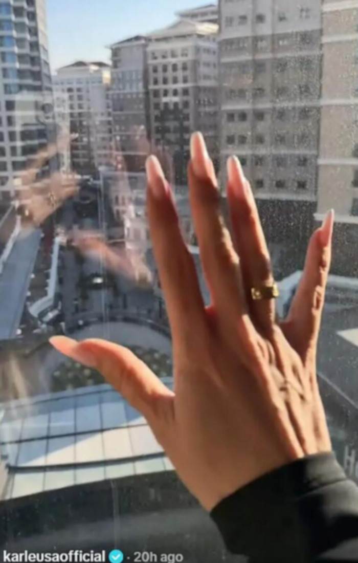 Političar zaprosio Jelenu Karleušu?