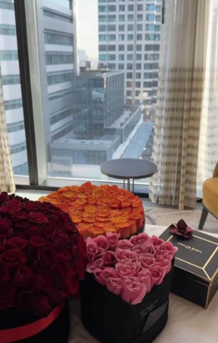 Političar zaprosio Jelenu Karleušu?