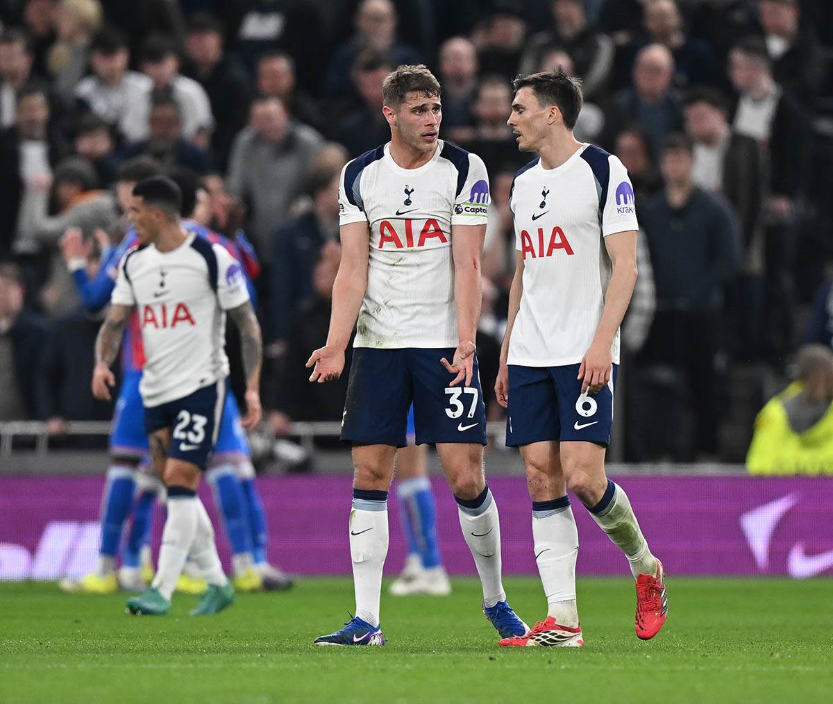 Kristal Palas - Totenhem (7).jpg