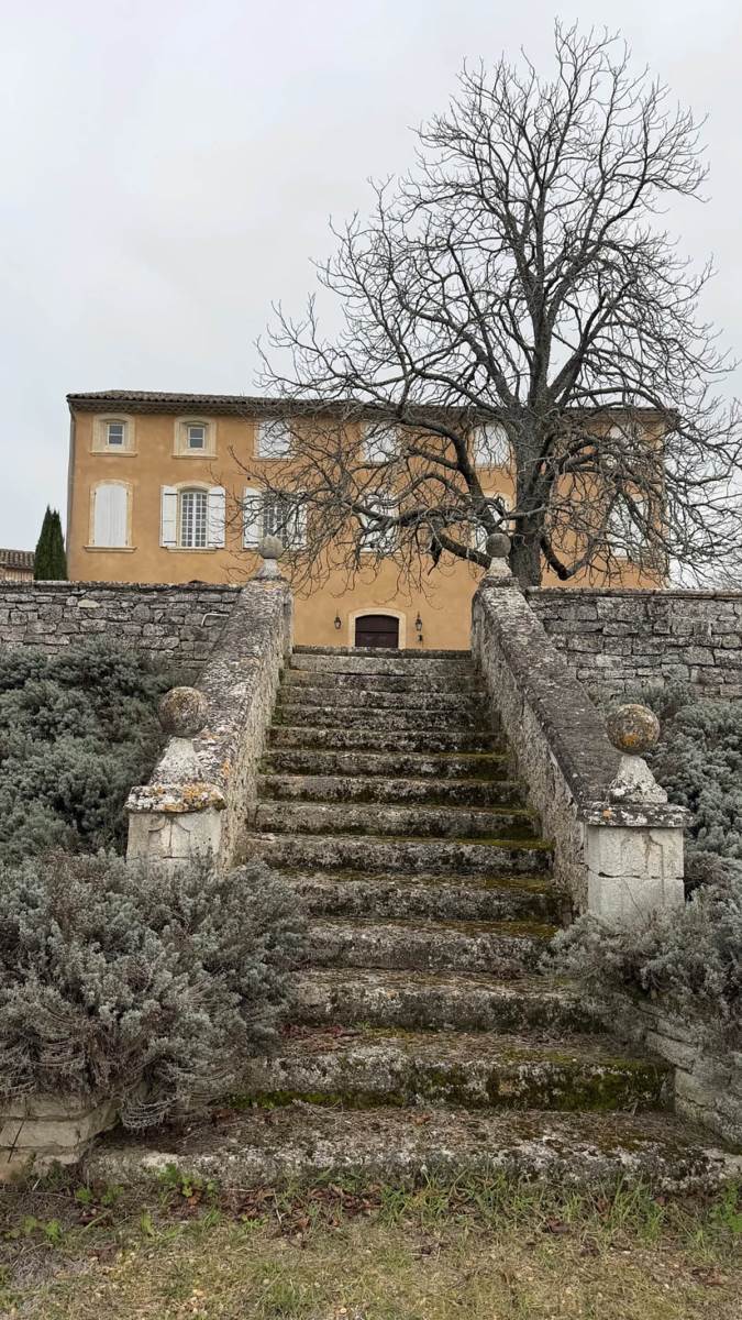 Od Elene Đokovići kupili vilu i kokošinjac sa kristalnim lusterom, sad pokazala vilu u Francuskoj