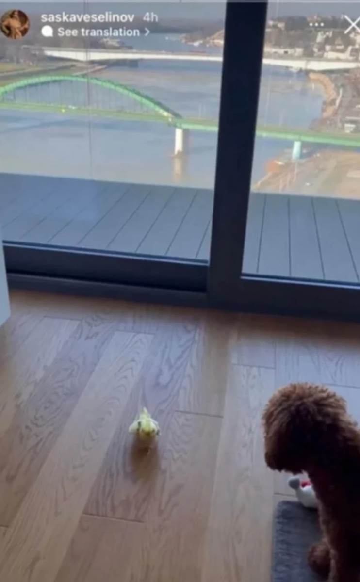 Đorđe Đoković stan (1) copy.jpg