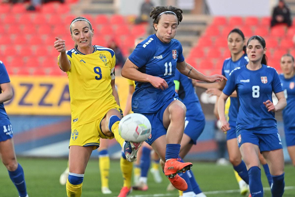 Srbija - Švedska (7).jpg