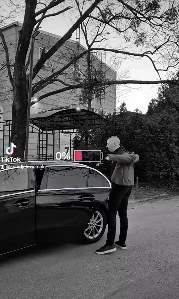 Maki Aranđelović harmonikaš (4).png