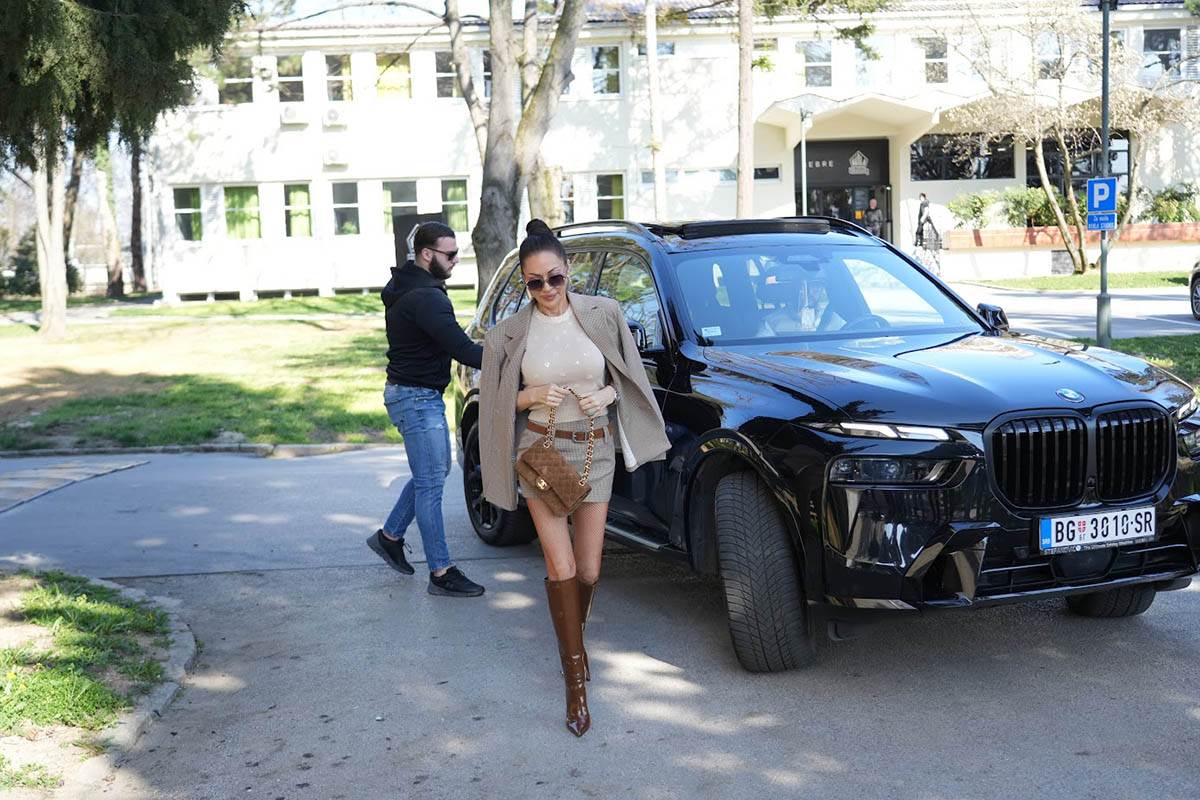 Ceca Ražnatović (2).jpg