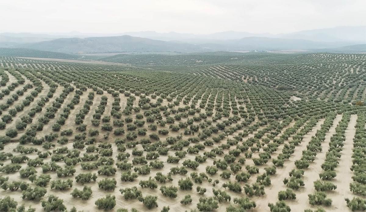 Pustinja Taklamakan (2).jpg