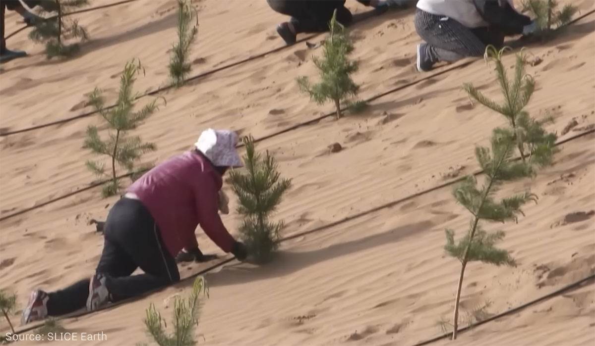 Pustinja Taklamakan (3).jpg