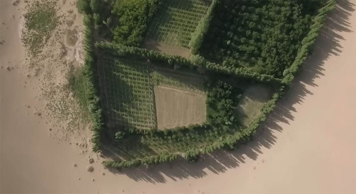 Pustinja Taklamakan (5).jpg