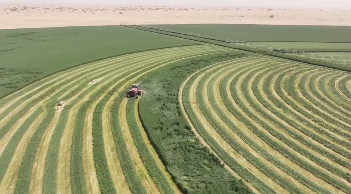 Pustinja Taklamakan (7).jpg