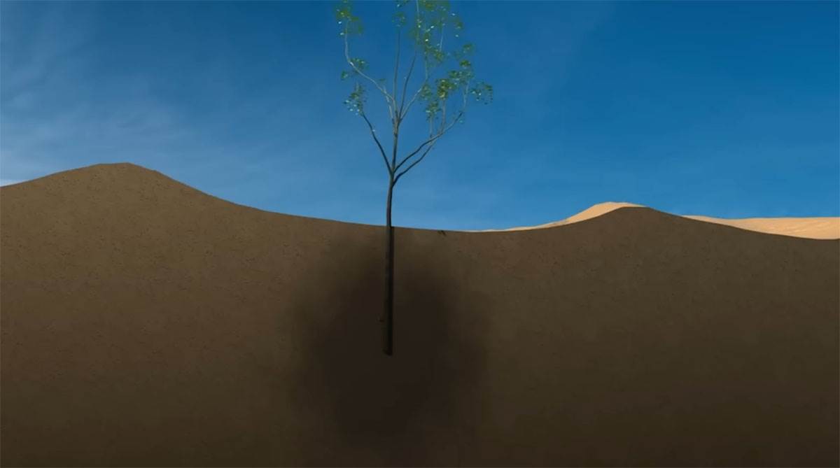 Pustinja Taklamakan (9).jpg