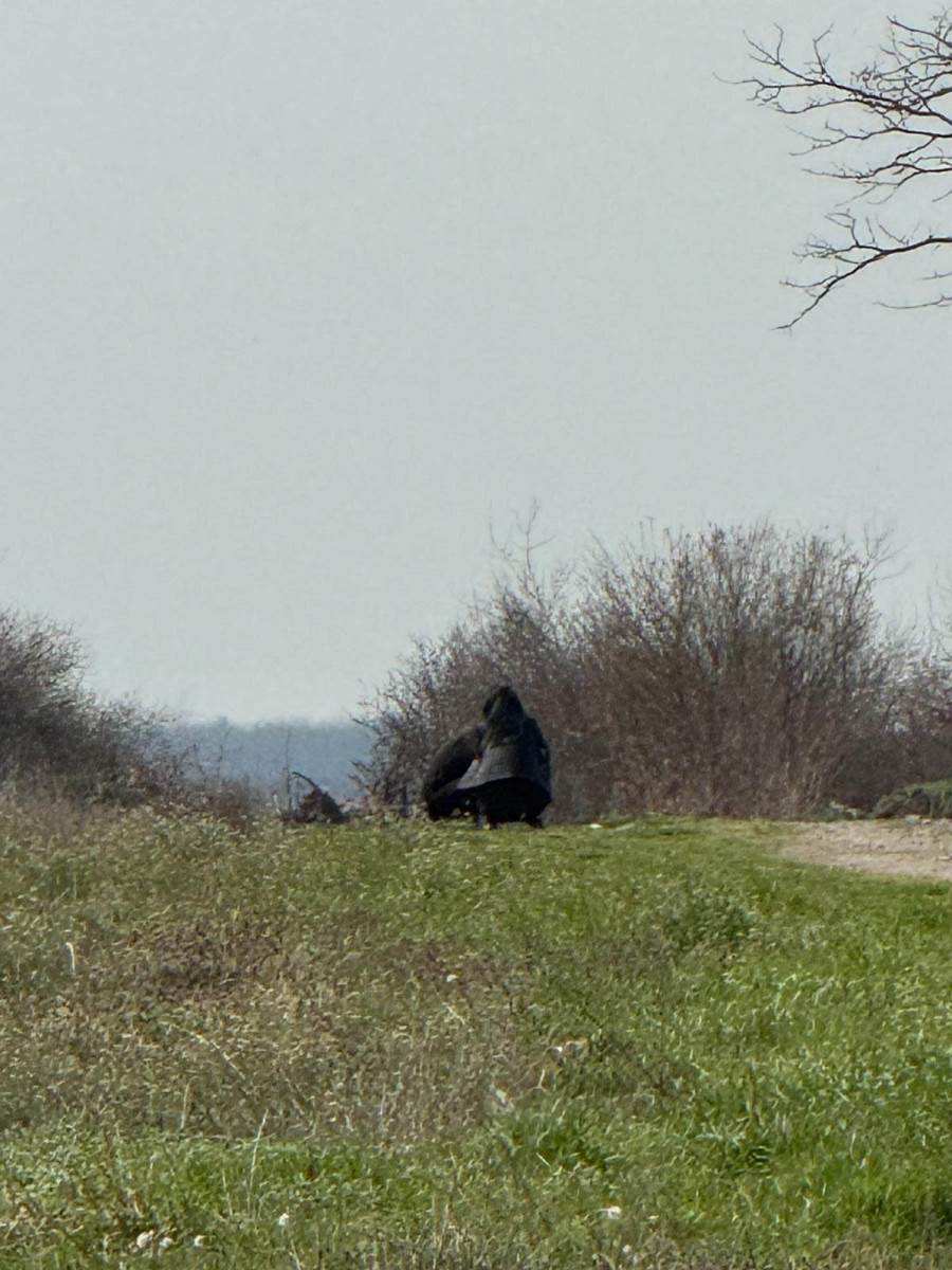 Snajka Darka Lazica sve vreme sedi na kraju ulice Snimili smo scenu koja kida dusu (5).jpg