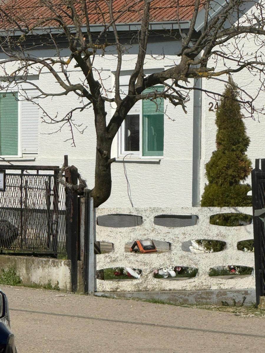 venci u dvorištu kuće Darka Lazića (1).jpg