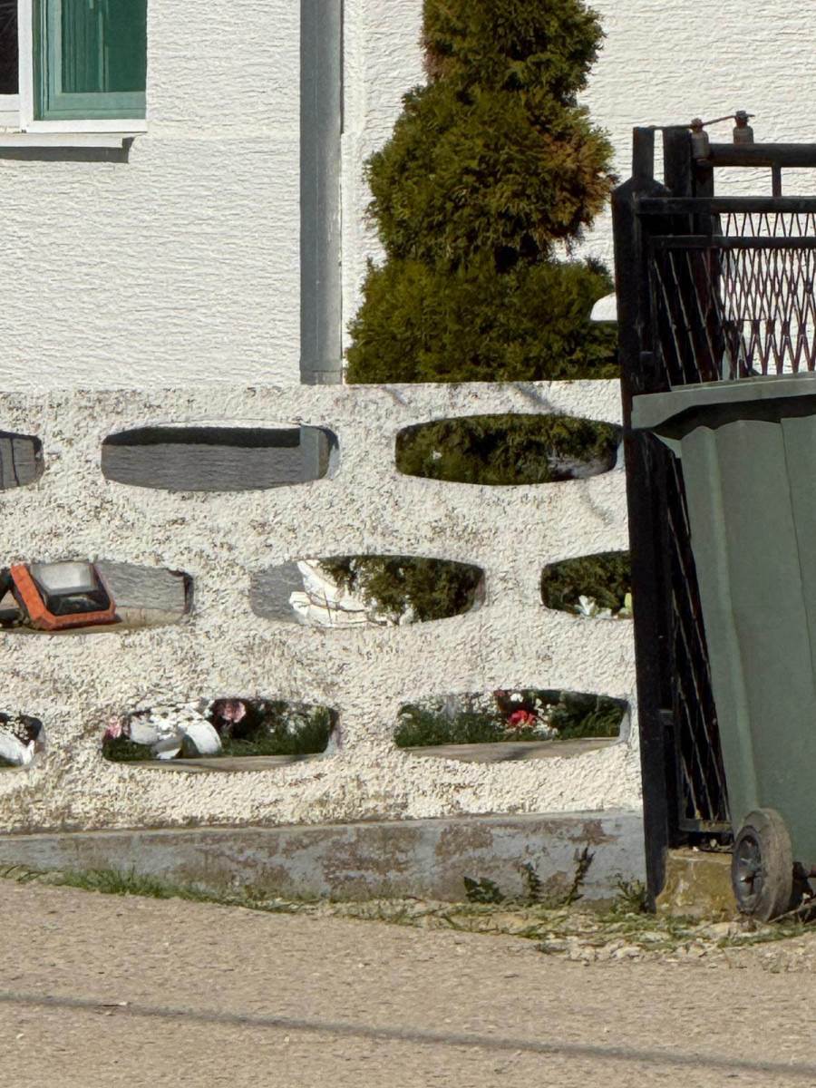 venci u dvorištu kuće Darka Lazića (2).jpg