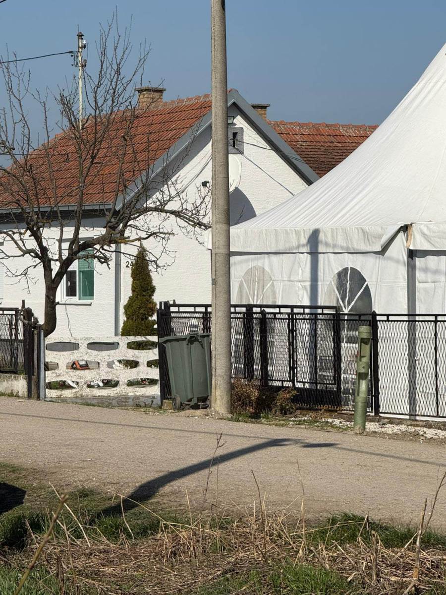 venci u dvorištu kuće Darka Lazića (3).jpg