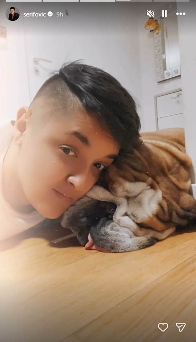 Marija Šerifović pas Hak preminuo (1).jpg