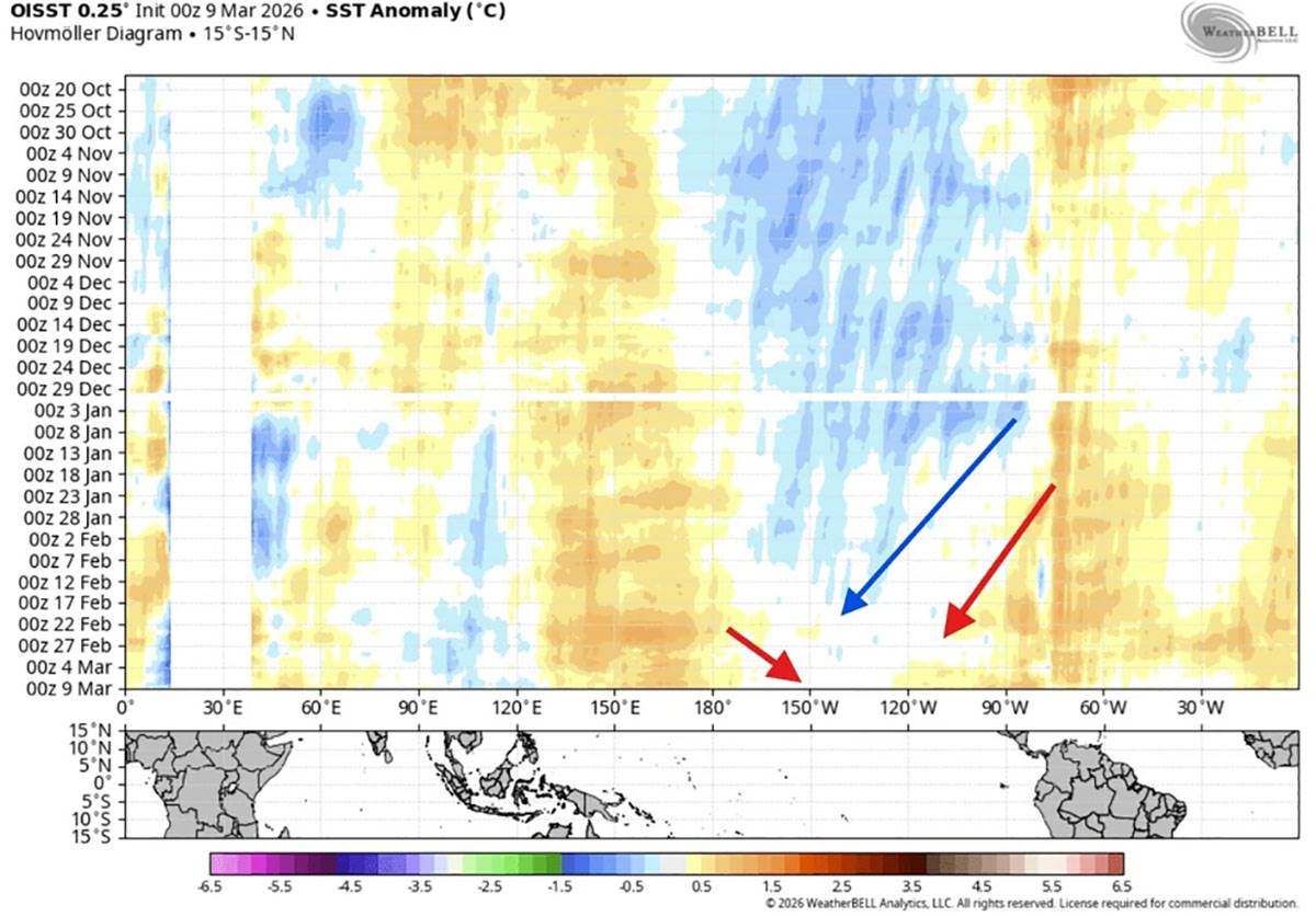 El Ninjo stiže u Evropu (2).jpg