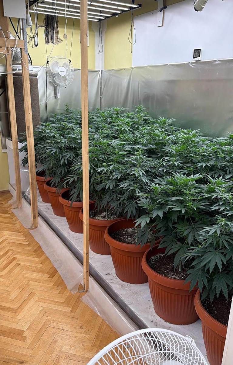 Neovlašćena proizvodnja i stavljanje u promet opojnih droga (2).jpg