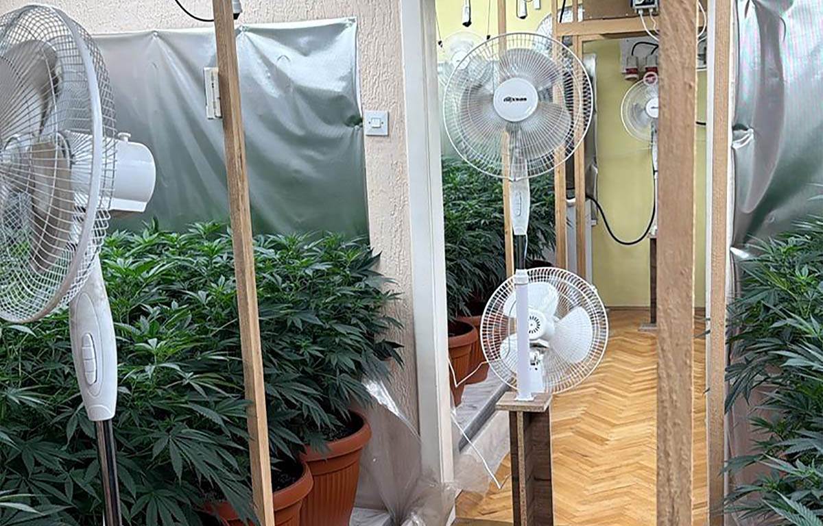 Neovlašćena proizvodnja i stavljanje u promet opojnih droga (3).jpg