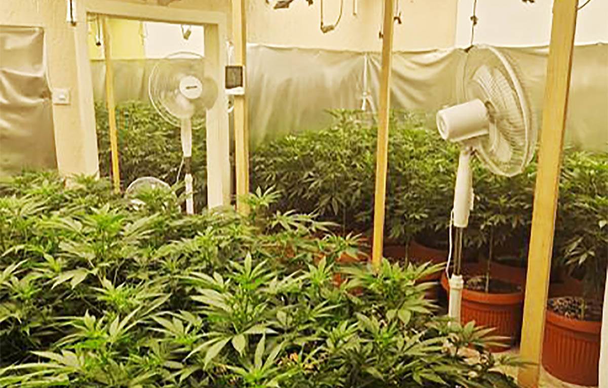 Neovlašćena proizvodnja i stavljanje u promet opojnih droga (6).jpg