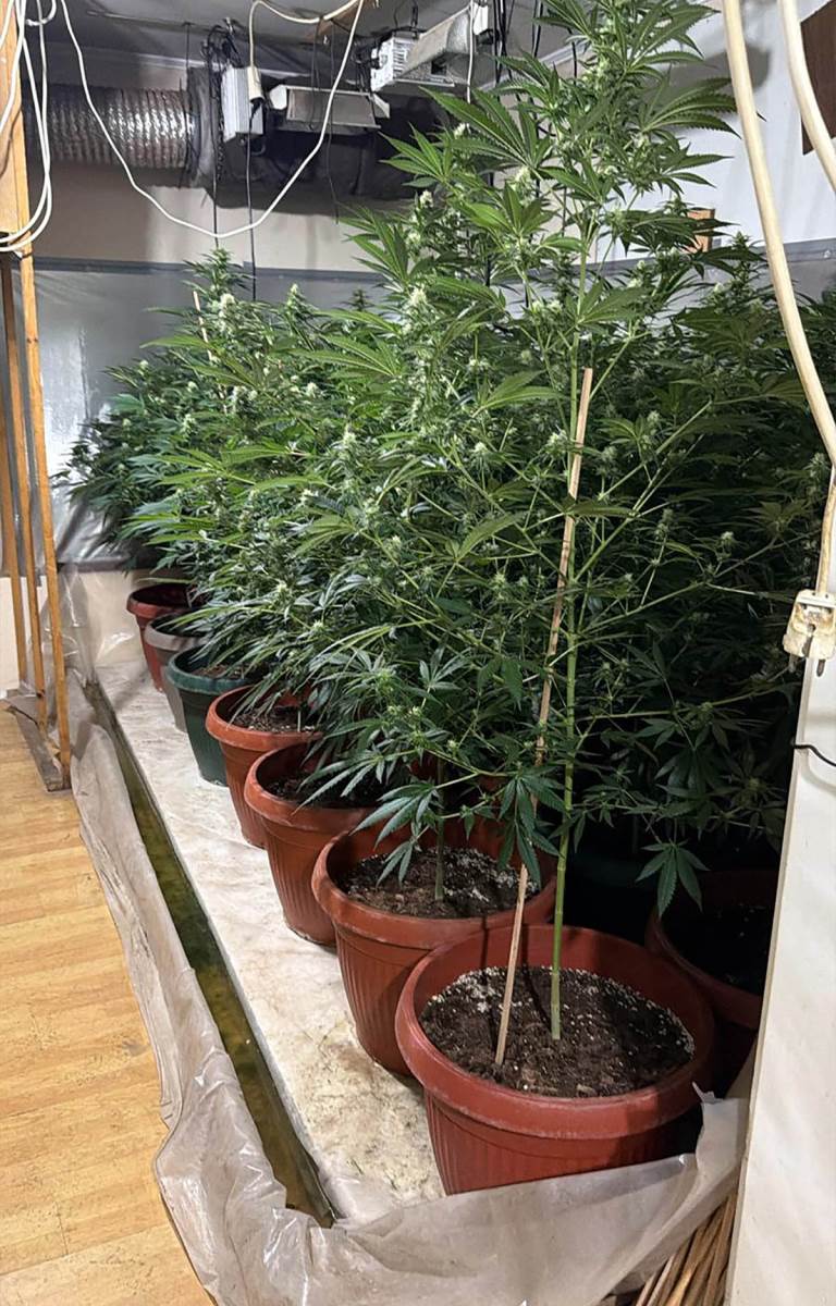 Neovlašćena proizvodnja i stavljanje u promet opojnih droga (9).jpg