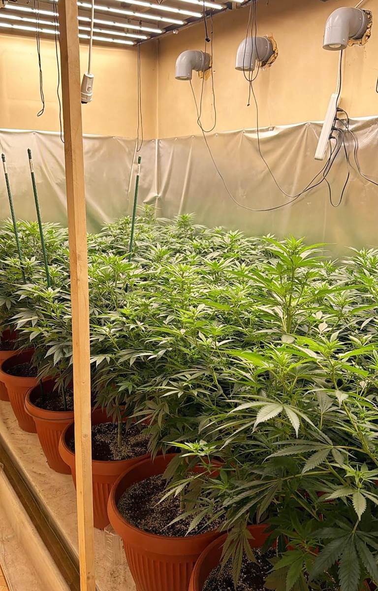 Neovlašćena proizvodnja i stavljanje u promet opojnih droga (1).jpg