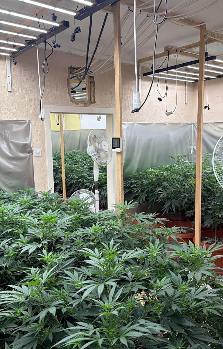 Neovlašćena proizvodnja i stavljanje u promet opojnih droga (10).jpg