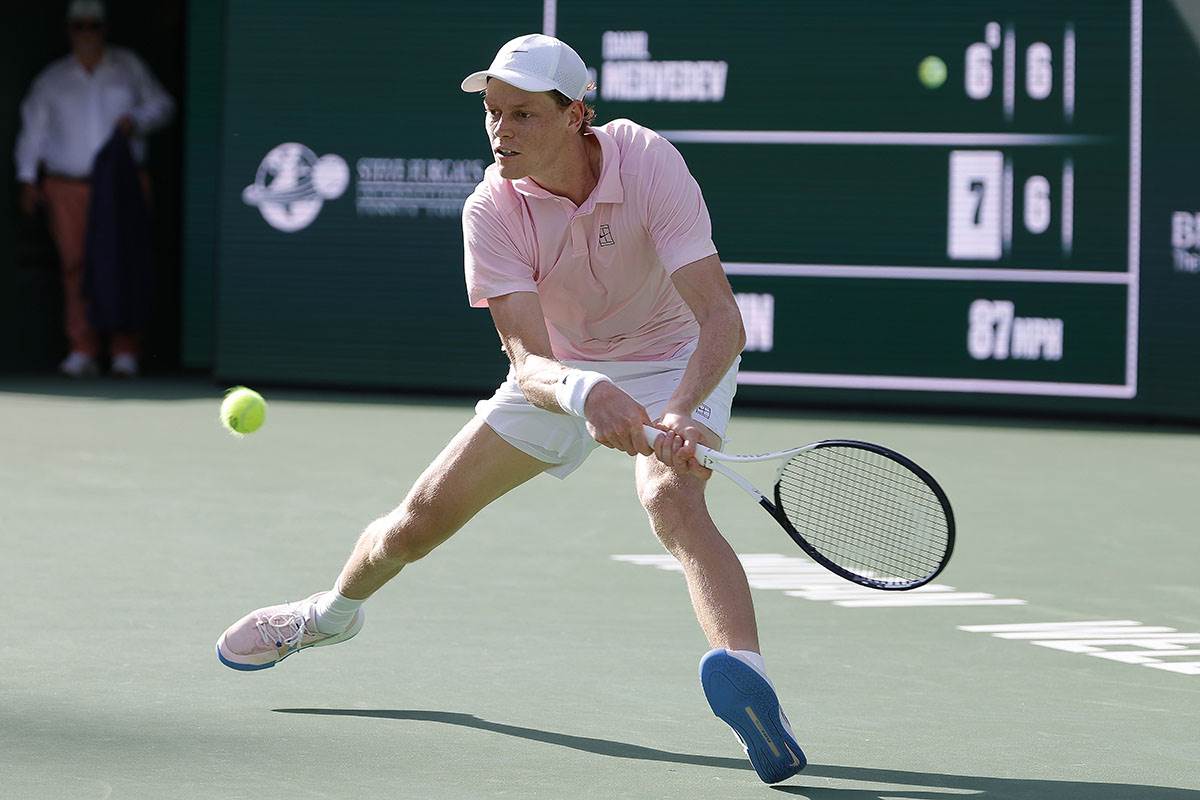 Medvedev - Siner na Indijan Velsu (4).jpg