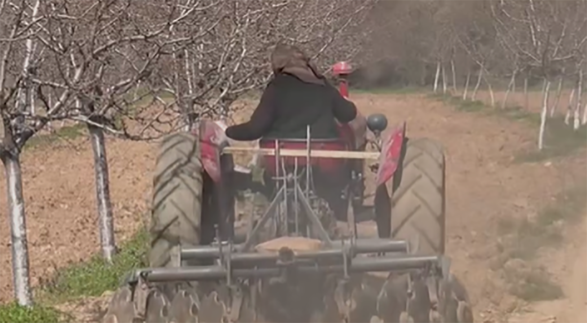 Pavliku Jovičić zovu superbaka iz Toplice (3).png