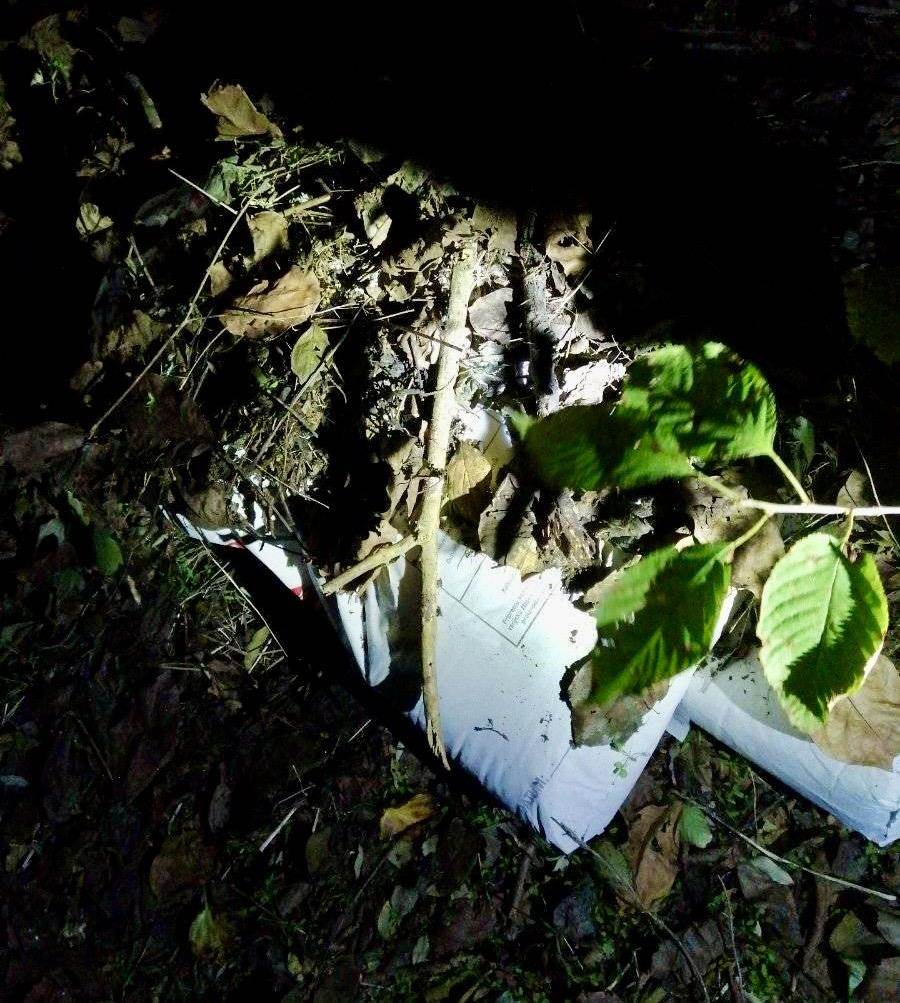 Kopali Raku (2).jpeg