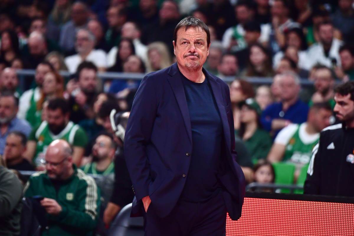 Crvena Zvezda - Panatinaikos (4).jpg